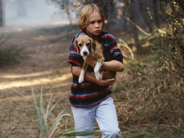 Shiloh 1996 Dale Rosenbloom Synopsis